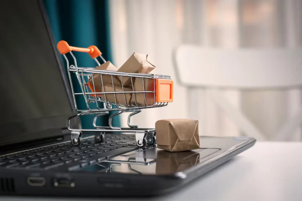 Professional ecommerce website development in Pondicherry by Weelogix Technologies